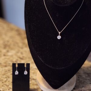 Elegant Silver Necklace and Earring Set